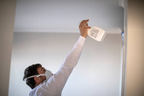Best Best Mold Removal Companies  in Bremen, OH